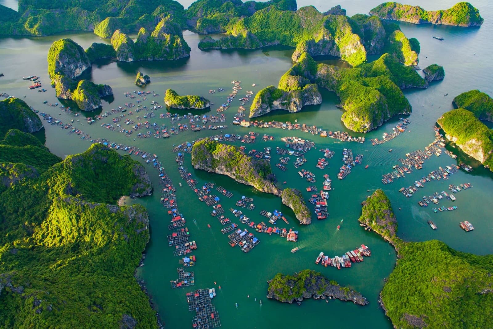 Lan Ha Bay limestone islands in Northern Vietnam